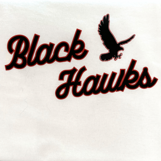 Black Hawks w/Hawk Silhouette Hoodie